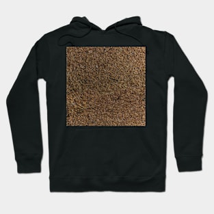 Needle Carpet One Hoodie